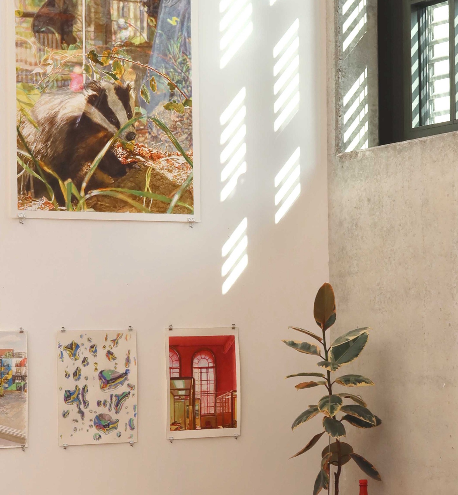 Blick in das Atelier: Ein großes Aquarell mit einem Dachs und einem Jungen hängt an einer weißen Wand, darunter drei kleinere Aquarelle, rechts ein Fenster mit Sonnenstreifen und ein Gummibaum.